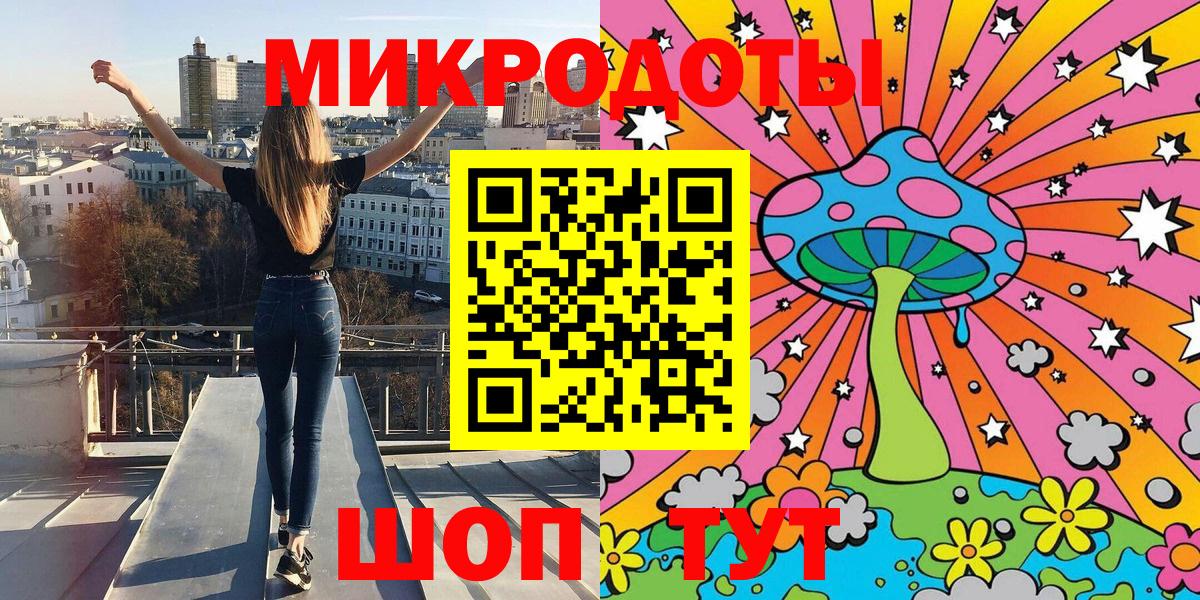 Галлюциногенные грибы Psilocybe Павловский Посад
