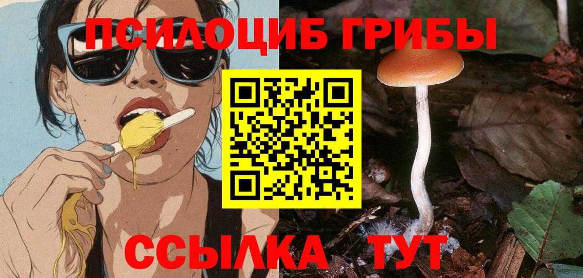 Павловский Посад  Галлюциногенные грибы Psilocybe  Вход с VPN 